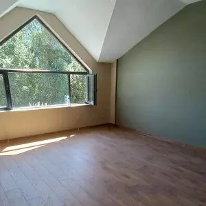 Ankara villa boya badana ustası